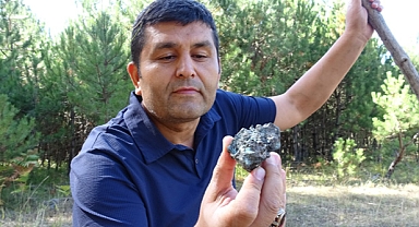 Mantar toplarken bulduğu taş göktaşı çıktı