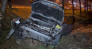 Karabük’te kontrolden çıkan otomobil, direk ve ağaçlara çarptı: 1 yaralı 