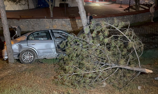 Karabük’te kontrolden çıkan otomobil, direk ve ağaçlara çarptı: 1 yaralı 