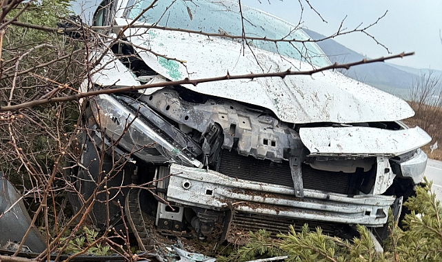 Kontrolden çıkan otomobil ağaçlara çarptı: 1 yaralı