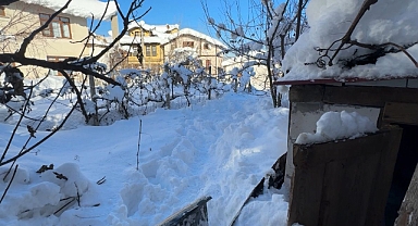Yaşlı kadın evinin bahçesinde dondu 
