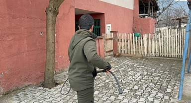 Çakal ekiplere zor anlar yaşattı