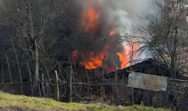 Karabük'te müştemilatta çıkan yangında 2 köpek öldü 