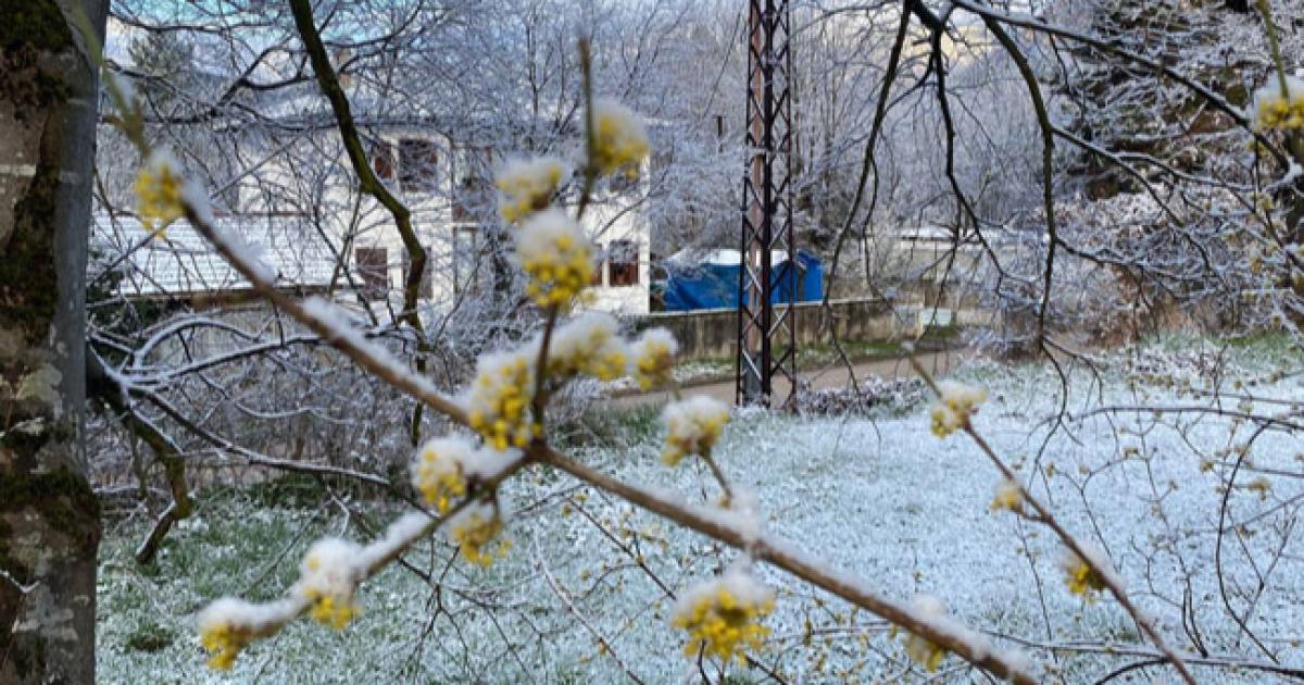 Çiftçiler dikkat: Karabük için zirai don uyarısı verildi