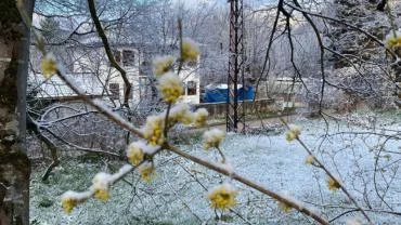 Çiftçiler dikkat: Karabük için zirai don uyarısı verildi