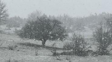 İlçelerde bahar ayında kar sürprizi