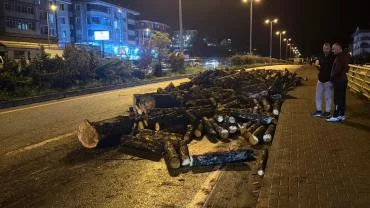 Kamyondan kara yoluna dökülen odunlar kaldırıldı