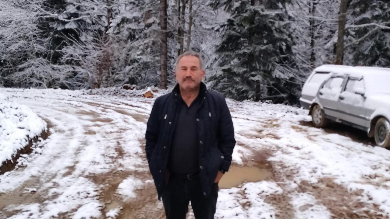 Ormanda Ağaç Kesimi Faciası: 1 Ölü