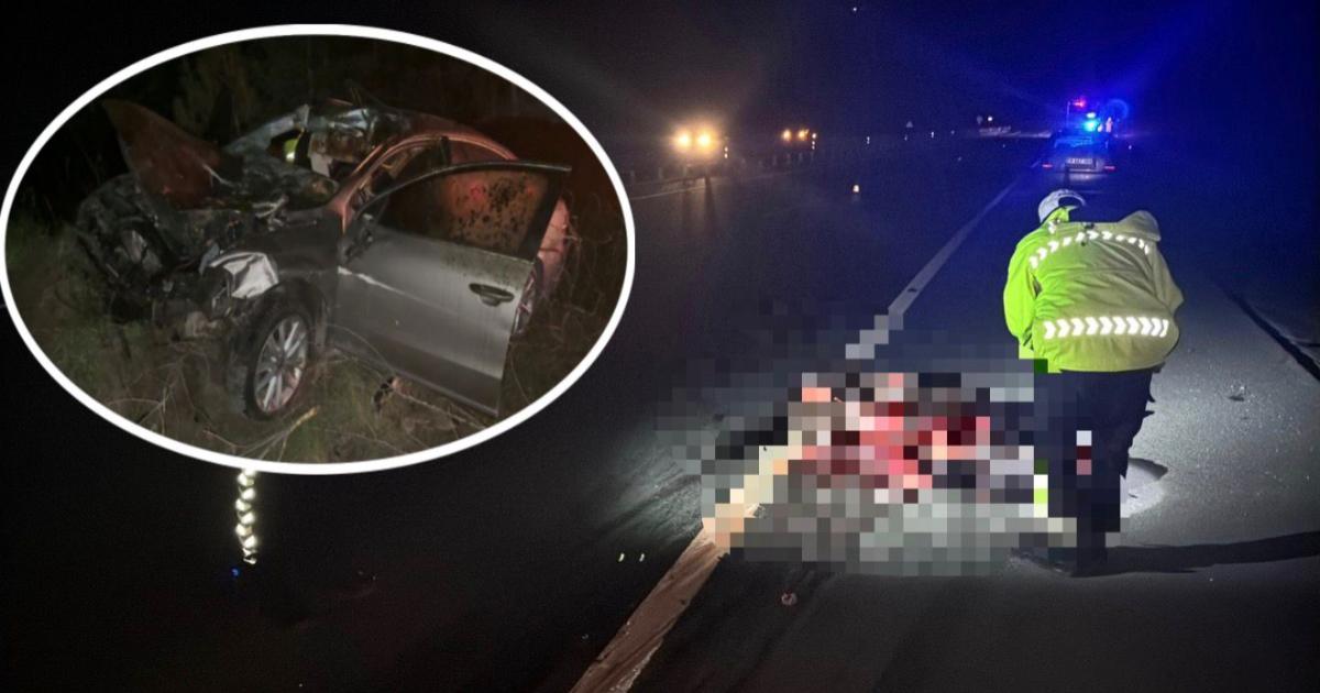 Yola çıkan at kazaya neden oldu: 3 yaralı