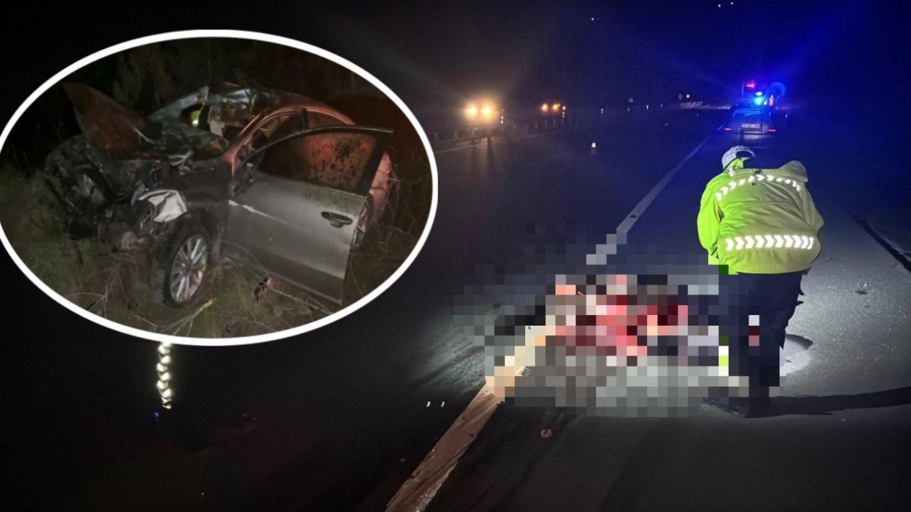 Yola çıkan at kazaya neden oldu: 3 yaralı