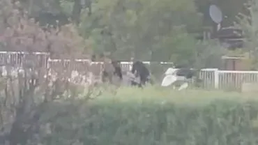 Sokak ortasında darbedildi; o anlar kamerada